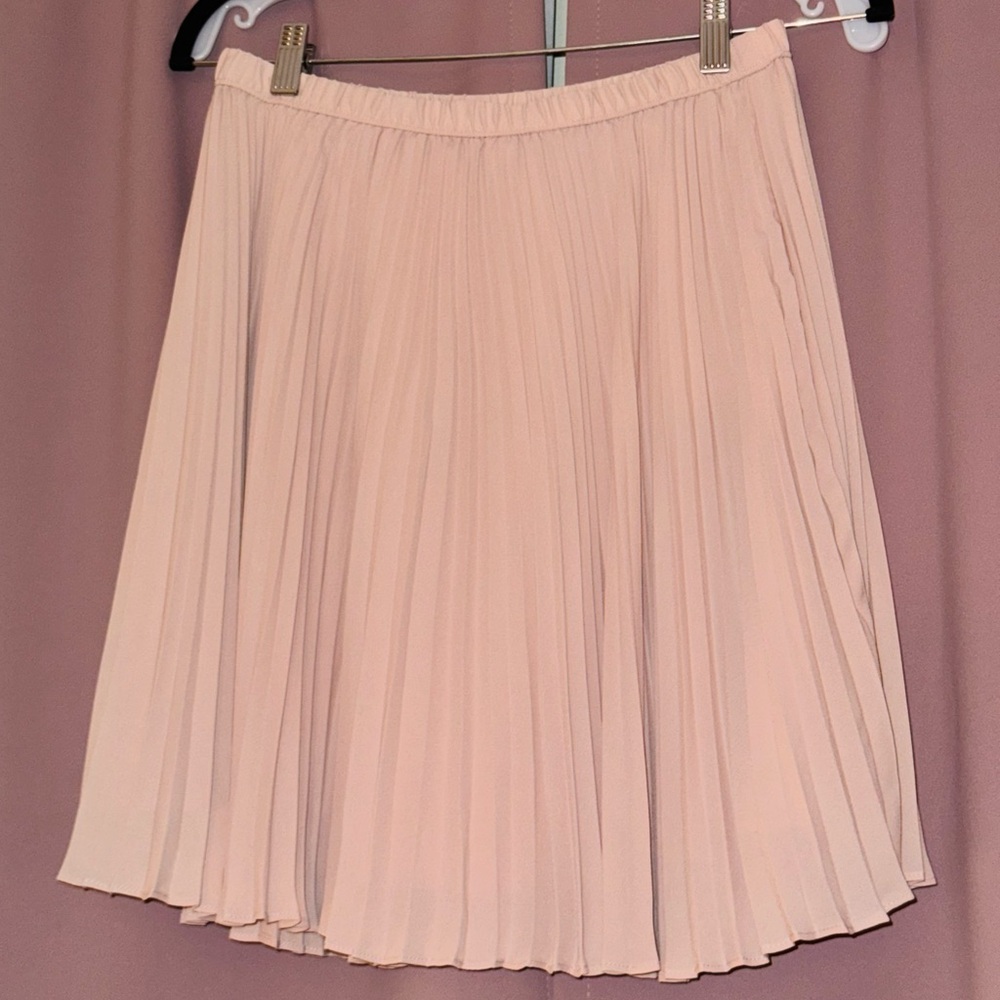 Banana Republic Blush Pleated Skirt